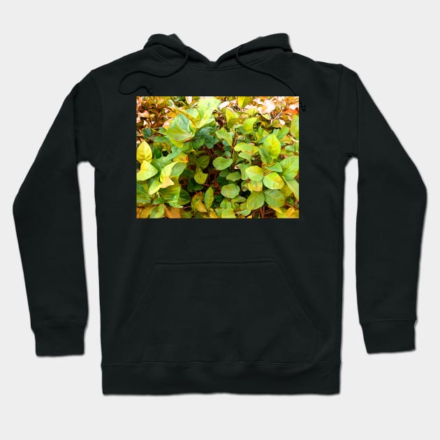 Autumn Garden Leaves Hoodie by Looly Elzayat